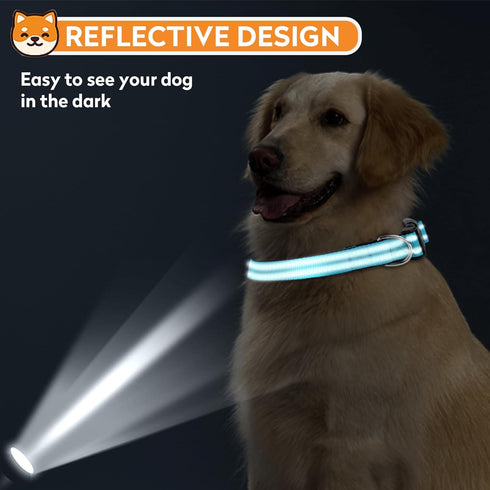 Reflective Dog Collar, Adjustable Soft Neoprene Padded Nylon Collars with Buckle for Large Dogs, Sky Blue, L
