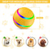 New Interactive Dog Toy Ball with Remote Control, Self Rolling USB Rechargeable Ball