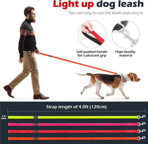 LED Dog Leash Light Up, 4 Feet Micro USB Rechargeable Nylon Webbing Glow Safety Standard Dog Leash by Bpawser (Red)