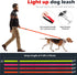 LED Dog Leash Light Up, 4 Feet Micro USB Rechargeable Nylon Webbing Glow Safety Standard Dog Leash by Bpawser (Red)