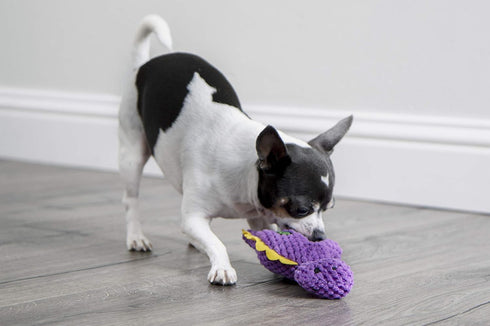 goDog Checkers Just for Me Dinos Bruto Squeaky Plush Dog Toy - Mini, Purple, Chew Guard Technology