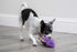 goDog Checkers Just for Me Dinos Bruto Squeaky Plush Dog Toy - Mini, Purple, Chew Guard Technology