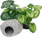 Smoothedo-Pets Aquarium Plants Betta Fish Tank Decorations, 4inch/2pcs Soft Silk Artificial Plant for Fish Hides