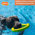 LaRoo Dog Flying Ring Toys, Durable Floating Disc for Training Outdoor Play for Medium Large Dogs (Small Green/18cm)