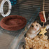 FEBSNOW Guinea Pig & Hamster Beds, Bedding for Hedgehog, Squirrel, Tortoise & Lizard