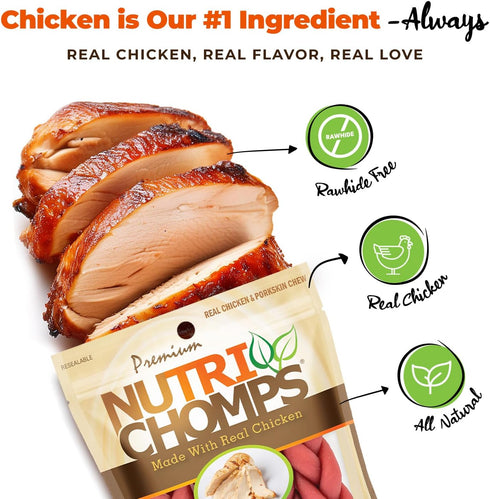 NutriChomps Dog Chews, 6-inch Braids, Rawhide-Free Dog Treats, Healthy, 4 Count, Real Chicken Flavor
