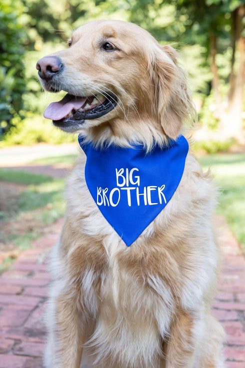 Big Brother Dog Bandanas, Blue Pet Scarfs for Small Medium Large Dogs, New Baby Announcement Pet Accessories Pregnancy