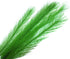 BEGONDIS 3Pcs Aquarium Decorations, Artificial Green Water Plants for Fish Tank, Silk Fabrics Plastic