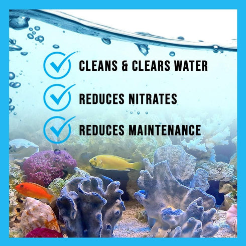 MICROBE-LIFT SBH16 Special Blend Cleaner for Freshwater and Saltwater Aquariums, 16 Ounces