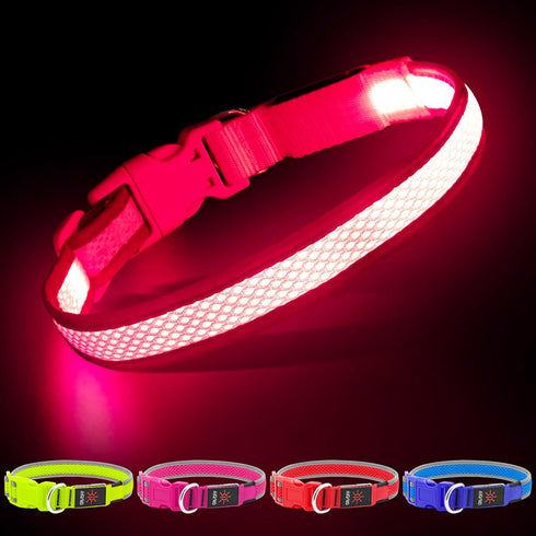 YFbrite Light Up Dog Collar, USB Rechargeable LED Puppy Collar, Adjustable Glowing Lights for Night Walking