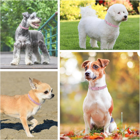 Leather Dog Collar for Puppy Small Medium Dogs, Adjustable Star and Moon Studded Pet Collars with Rust-Proof Metal