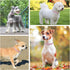 Leather Dog Collar for Puppy Small Medium Dogs, Adjustable Star and Moon Studded Pet Collars with Rust-Proof Metal