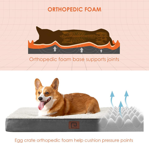 EHEYCIGA Orthopedic XL Dog Beds for Extra Large Dogs, Removable Washable Cover, Beige, 44x32