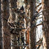Tree Stand Stabilizer Straps - Hunting Gifts for Men, Accessories for Climbing Tree Stand and Backpack