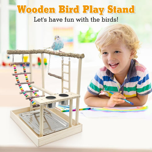 Hamiledyi Bird Playground Parrots Wood Perch Stand Cockatiel Playground Bird Play Gym Colours Climb Ladders Swing
