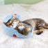 Mity rain 2PCS Dog Pillow, Anxiety Relief Pillow for Dog, Ultra Soft High Density Calming Pillow for Joint Relief