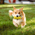 Dog Toys for Aggressive Chewers, Indestructible Interactive Squeaky Chew Toys for Large Medium Small Breeds