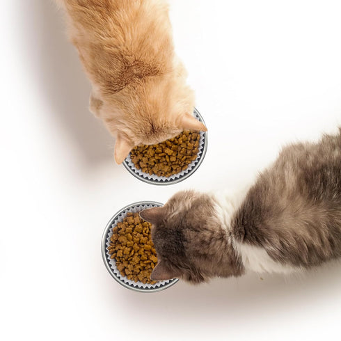 300PCS Disposable Cat Food Bowls & 2PCS Stainless Steel Bowls, Small Paper Plates for Cat Dog Feeding