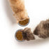 300PCS Disposable Cat Food Bowls & 2PCS Stainless Steel Bowls, Small Paper Plates for Cat Dog Feeding