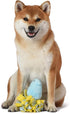 Peeps for Pets Plush Chick Dog Toy - Blue and Yellow Fleece Bottom, Small Plush with Squeaker for Pets