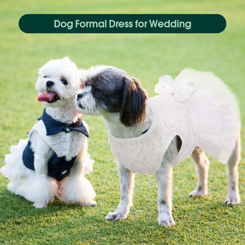Kuoser Dog Dress, Adorable Pet Wedding Dresses for Small Medium Girl Dogs, White Princess Outfits with Lace Pearl Bow