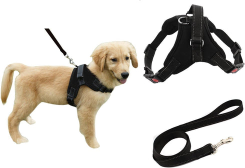 Heavy Duty Dog Harness and Leash Set, Adjustable Reflective No-Pull Padded Vest for Dogs