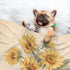 Futterya 3D Plush Pet Blanket Sunflower Bouquet Vintage Style Paw Print Design Soft Fluffy Blankets Throw for Dog Puppy
