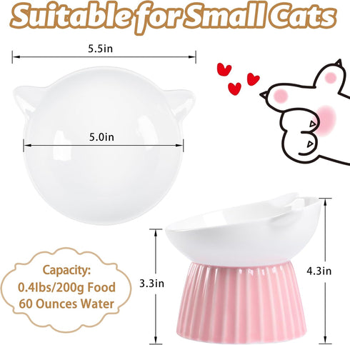 Ceramic Raised Cat Bowl,Tilted Raised Cat Bowl Anti Vomit Cat Bowls for Indoor Cats Whisker Friendly Pet Feeder for Cats Puppies, Microwave and Dishwasher Safe