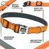 TwoEar Heavy Duty Dog Collar with Metal Buckle, Soft Neoprene Padded Breathable Nylon Pet Collar, Adjustable Reflective Dog Collars for Small Dogs