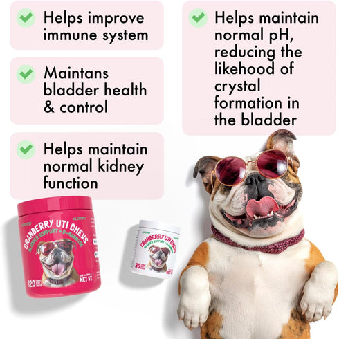 Immune 120 Cranberry UTI Chews for Dogs Bladder Support + D-Mannose Supports Kidney Urinary Tract and Bladder Health