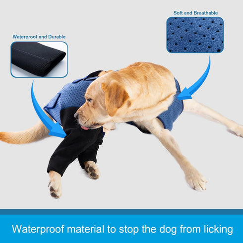 Coodeo Dog Recovery Suit, Cone Collar Alternative, Abrasion Resistant, Washable, Waterproof for Pet Wounds (L, Blue)