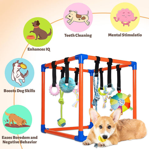 Flickzy 9 Puppy Play Gym with Hanging Toys for Small Dogs, PVC Frame with Bungee Straps, Interactive Indoor Jungle
