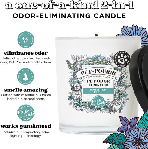 Pet-Pourri Pet Odor Freshener Candle, Pawsitively Fresh, 7.5 Oz - Jasmine, Fresh Air and Pear, Veterinarian Recommended