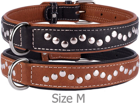 CollarDirect Studded Dog Collar - Leather Pet Collars for Dogs - Soft Padded - Brown Black (Brown, Neck fit 17" - 19")