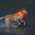 Illumifun USB Rechargeable LED Dog Collar Light Up Adjustable Blinking for Large Dogs (Orange?, Large)