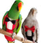 QBLEEV 2 Pack Bird Diapers, Cockatiel Tuxedo Flight Suite, Reusable Parrot Nappy