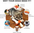 Dog Chew Toys for Aggressive Chewers, Indestructible Rubber Toy for Tough Chewing Dogs
