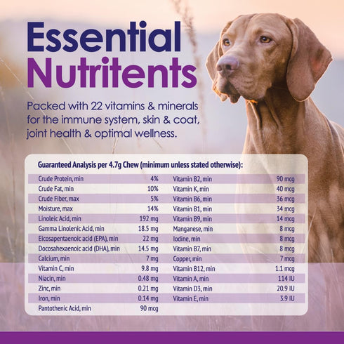 22 1 3 Immune 60 Dog Multivitamin Chewable - in Dog Vitamins and Supplements with Green Lipped Mussel & Omega