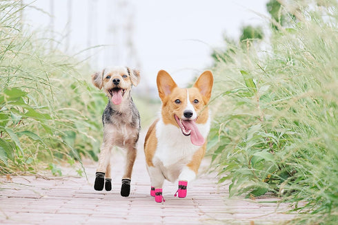 YAODHAOD Dog Shoes for Winter, Fleece Warm Snow Booties for Small Medium Dogs, Size 5: Pink