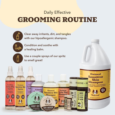 12 oz Natural Dog Company Oatmeal Shampoo for Dogs with Sensitive Skin, Ideal Anti Itch Dog Shampoo and Puppy Shampoo