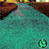 Oubest Glow in The Dark Rocks, Green Glow Pebbles Decor for Garden, Fish Tank, Walkway, Driveway, Plant Pots (100)