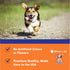 Liquid Collagen for Dogs - Itch Relief Supplement, Bacon Flavor, 1 fl oz Dog Collagen