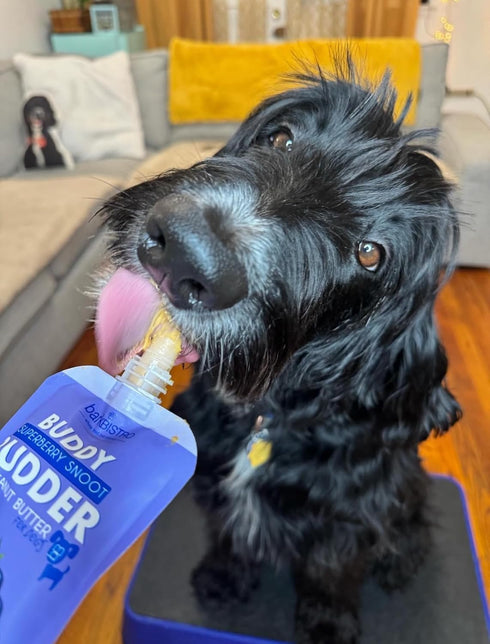 6 Pack Packs, 100% (4oz Packs) BUDDY BUDDER Mixed Flavor Squeeze Natural Dog Peanut Butter, Healthy Peanut Butter Dog