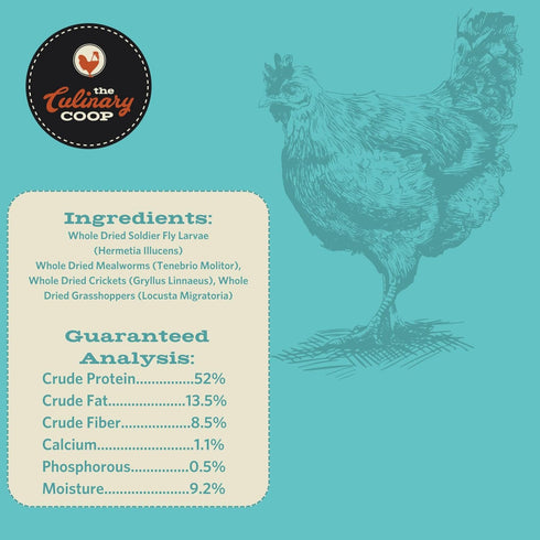 20 oz Fluker's Culinary Coop Premium Chicken Treats, Dried Insect Trail Mix