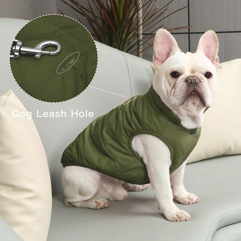 2 Layers Fleece Lined Warm Dog Jacket for Puppy, Soft Windproof Small Dog Coat, Green XS