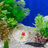 50g Cabilock Betta Fish Hiding Hideaway Aquarium Decor with Shelter, Sea Star and Rhinestones, Tropical Fish Tank