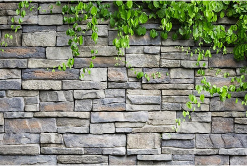 AWERT 24x16 inches Stone Brick Wall Aquarium Background with Rock and Spring Leaves for Fish Tank