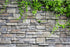 AWERT 24x16 inches Stone Brick Wall Aquarium Background with Rock and Spring Leaves for Fish Tank