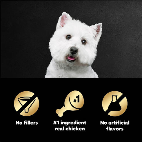 Cesar Filets in Gravy Wet Dog Food, Wood-Grilled Chicken Flavor, 1.76 oz Mini-Pouch, 20 Pack