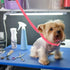18 Pcs Pet Dog Grooming Loops, Adjustable Nylon Restraint Noose for Dog Cat Safety Rope Grooming Supplies (21 Inch)